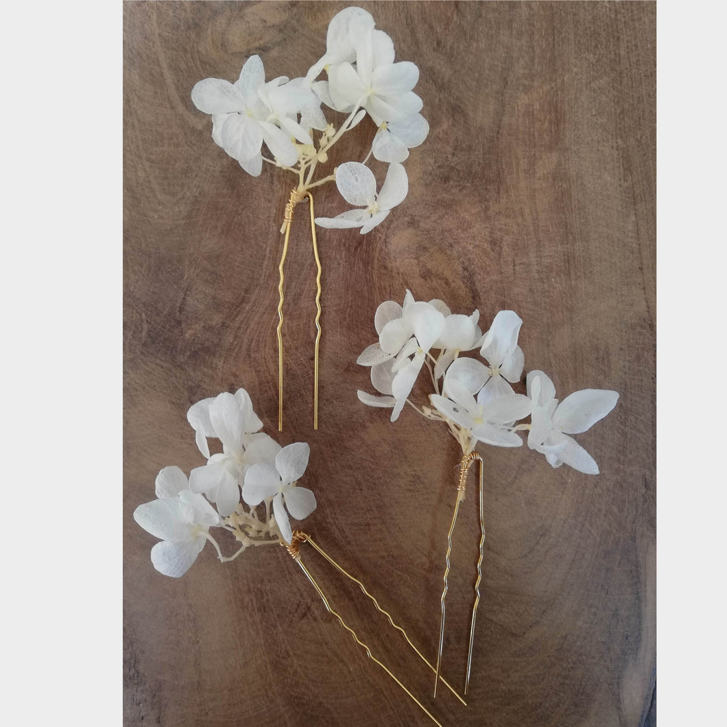 Épingle en fleurs stabilisées blanc