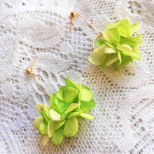 Charger l&#39;image dans la galerie, Boucle d&#39;oreilles vert et jaune clair en fleurs séchées
