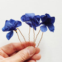 Charger l&#39;image dans la galerie, pics en fleurs bleus stabilisées et séchées 
